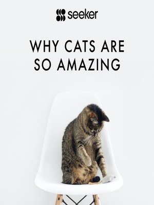 cover image of Why Cats Are So Amazing
